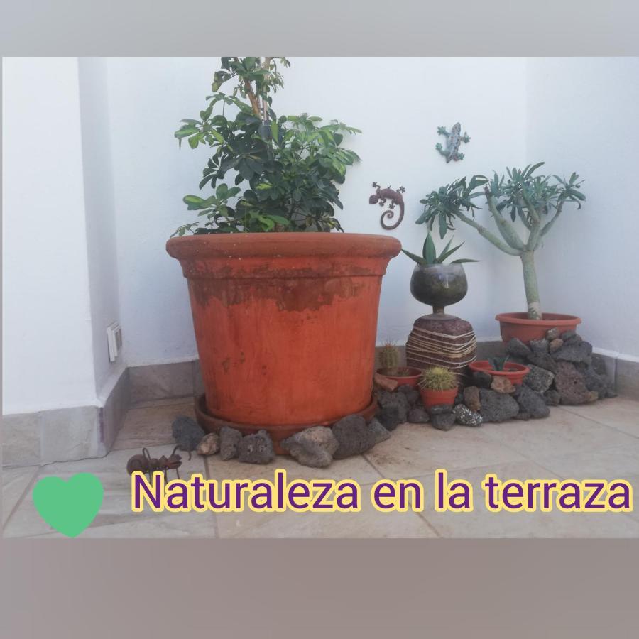 Love For Lanzarote Holidays House Playa Blanca  Extérieur photo